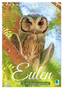 Cover-Bild zum Titel 'Eulen: In die Augen geschaut (Tischkalender 2026 DIN A5 hoch), CALVENDO Monatskalender' von 'Calvendo Calvendo'
