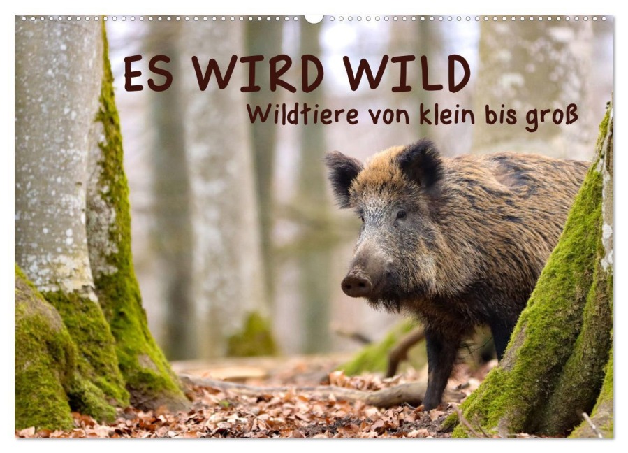 ES WIRD WILD Wildtiere von klein bis groß (Wandkalender 2025 DIN A2 quer), CALVENDO Monatskalender - Angela Merk