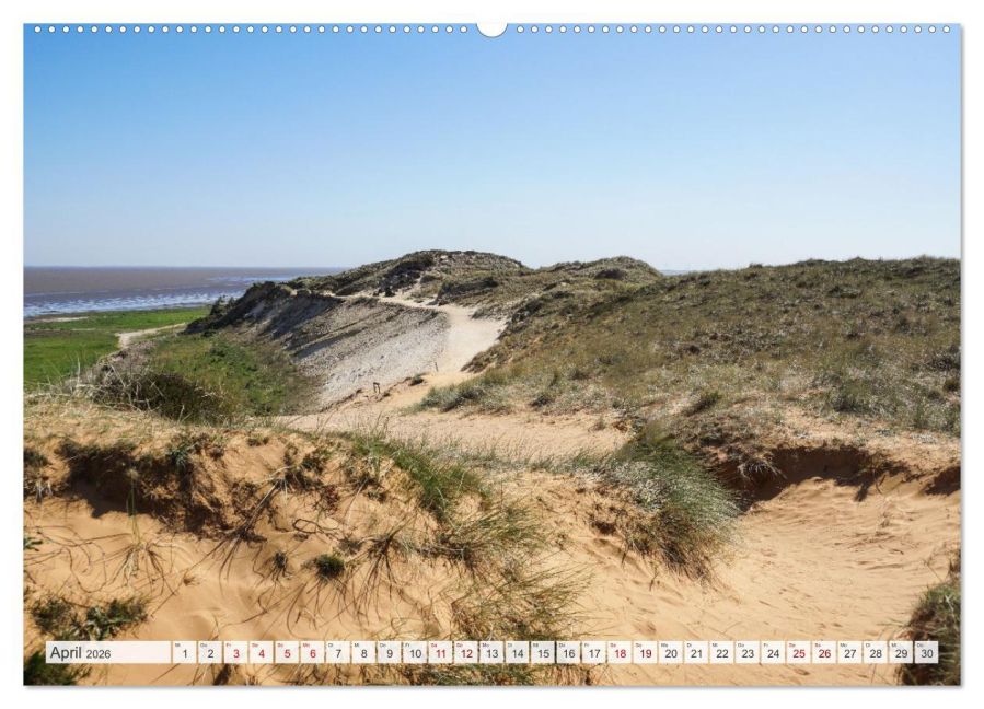 InsideView 8