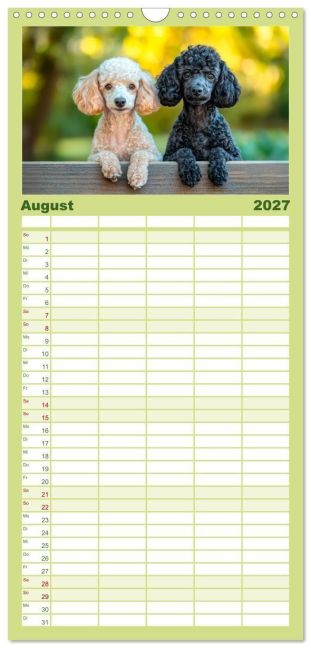 InsideView 13