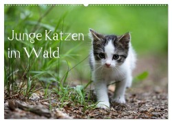Junge Katzen im Wald (Wandkalender 2026 DIN A2 quer), CALVENDO Monatskalender - Dorothea Oldani