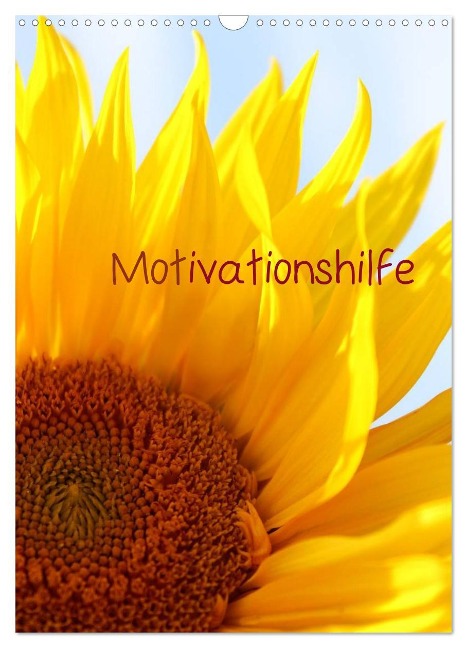 Motivationshilfe (Wandkalender 2025 DIN A3 hoch), CALVENDO Monatskalender - Heike Hultsch