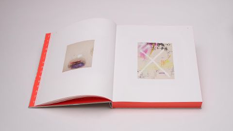InsideView 2