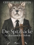 Cover-Bild zum Titel 'Die Spitzhacke - Ein phantastisches Erlebnis' von 'Gerhart Hauptmann'