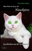 Cover-Bild zum Titel 'Mein Name ist Jacey, die Hauskatze' von 'Fritz-Stefan Valtner'