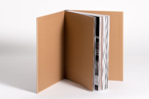 InsideView 2