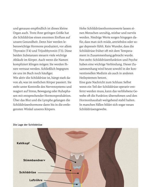InsideView 15
