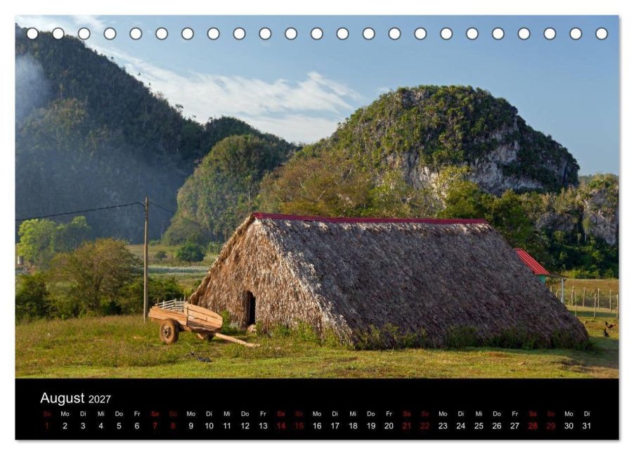 InsideView 13