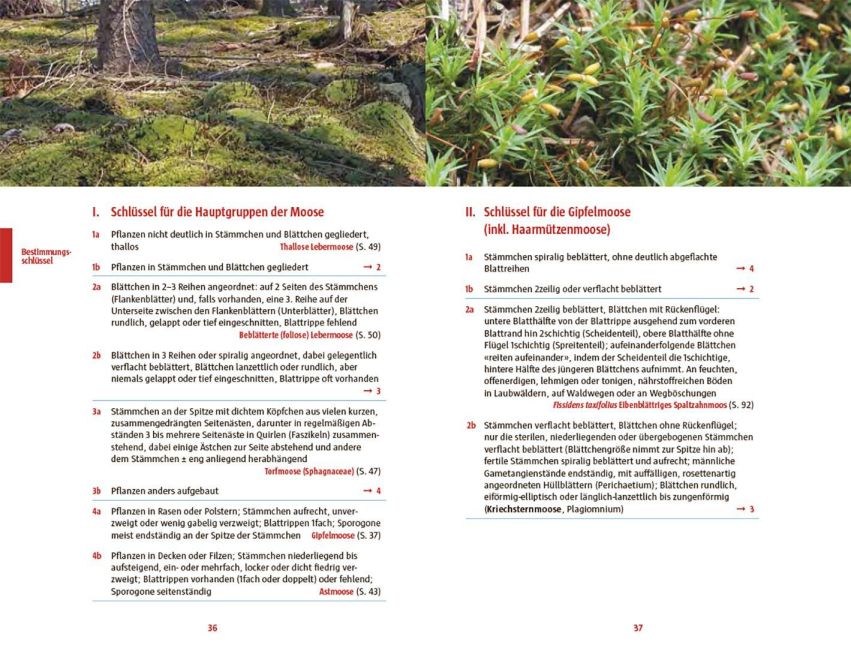 InsideView 4