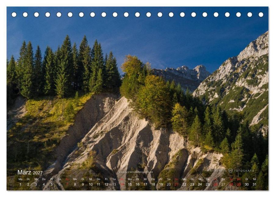 InsideView 8