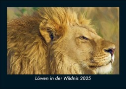 Cover-Bild zum Titel 'Löwen in der Wildnis 2025 Fotokalender DIN A5' von 'Tobias Becker'