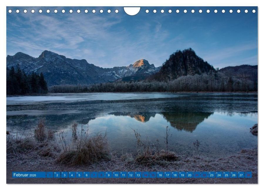 InsideView 7