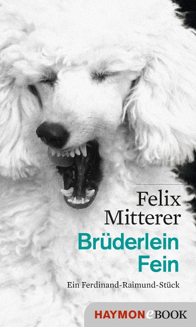 Brüderlein Fein - Felix Mitterer