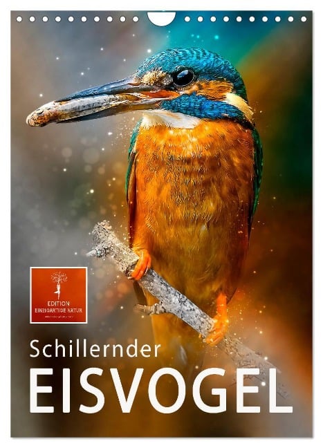 Schillernder Eisvogel (Wandkalender 2024 DIN A4 hoch), CALVENDO Monatskalender - Peter Roder