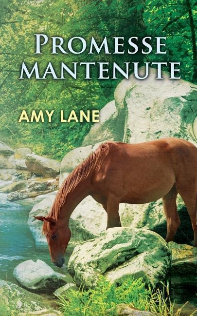 Promesse Mantenute - Amy Lane