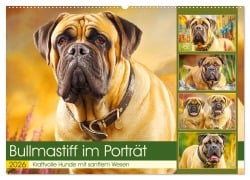 Bullmastiff im Porträt. Kraftvolle Hunde mit sanftem Wesen (Wandkalender 2026 DIN A2 quer), CALVENDO Monatskalender - Rose Hurley