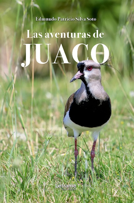 Las aventuras de Juaco - Edmundo Patricio Silva Soto