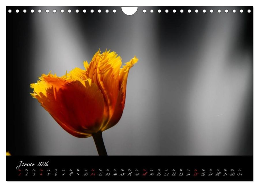 InsideView 6