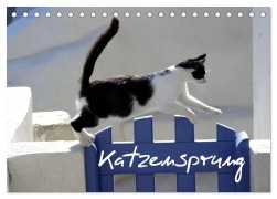 Cover-Bild zum Titel 'Katzensprung (Tischkalender 2026 DIN A5 quer), CALVENDO Monatskalender' von 'Alexandra Loos - Www. Shabbyflair. De'