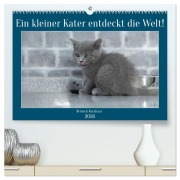 Ein kleiner Kater entdeckt die Welt! (hochwertiger Premium Wandkalender 2026 DIN A2 quer), Kunstdruck in Hochglanz - Manuela Hartmann