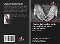Cover-Bild zum Titel 'Il ruolo del medico nelle cure palliative nelle cure primarie' von 'Ludimilla Gama Rodrigues, Marilene R. Nunes, Lauann C. de Novaes'