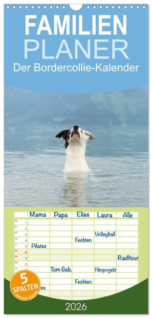 Familienplaner 2026 - Der Bordercollie-Kalender mit 5 Spalten (Wandkalender, 21 x 45 cm) CALVENDO - Kathrin Köntopp
