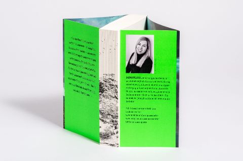 InsideView 3