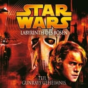 Cover-Bild zum Titel 'Labyrinth des Bösen - Teil 1: Gunrays Geheimnis' von 'John Williams'