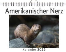 Cover-Bild zum Titel 'Amerikanischer Nerz' von 'Tim Krause'