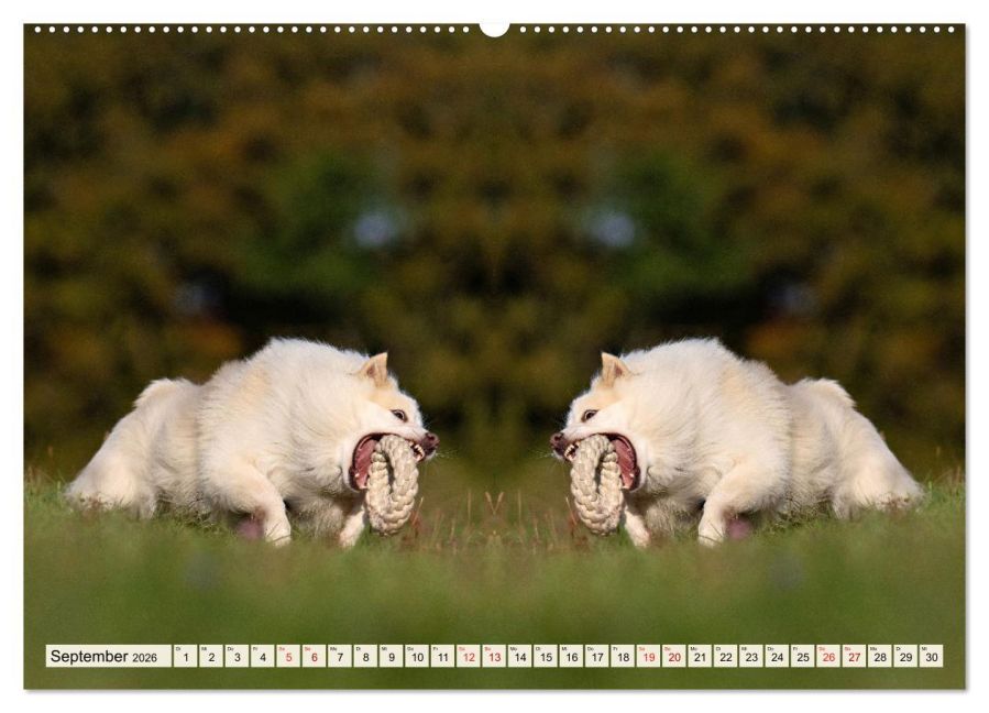 InsideView 13