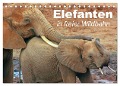 Elefanten in freier Wildbahn (Tischkalender 2024 DIN A5 quer), CALVENDO Monatskalender - Elisabeth Stanzer