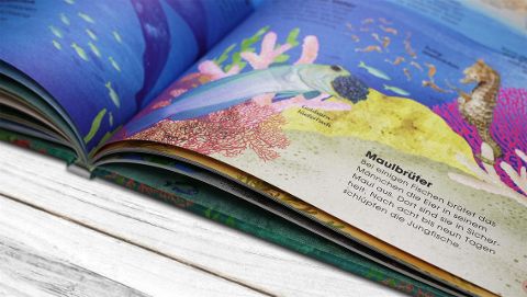 InsideView 11