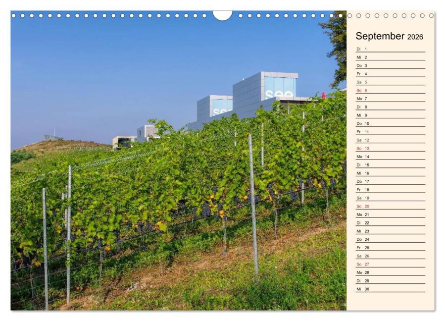 InsideView 14