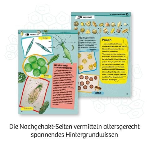 InsideView 5