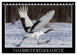 Mandschurenkraniche (Tischkalender 2026 DIN A5 quer), CALVENDO Monatskalender - Thomas Schwarz Fotografie