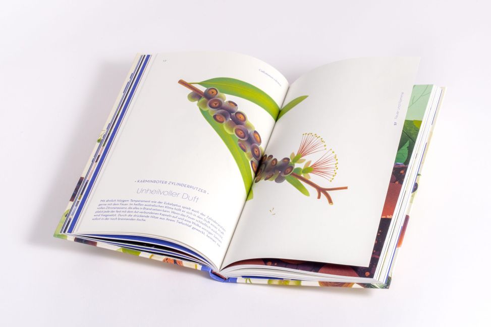 InsideView 10