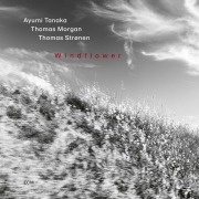 Cover-Bild zum Titel 'Windflower' von 'Ayumi Tanaka, Thomas Morgan, Thomas Strønen'