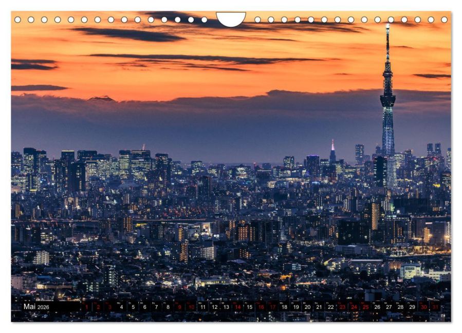 InsideView 10