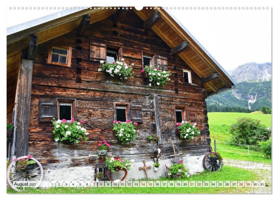 InsideView 12