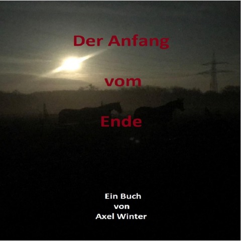 Der Anfang vom Ende - Axel Winter