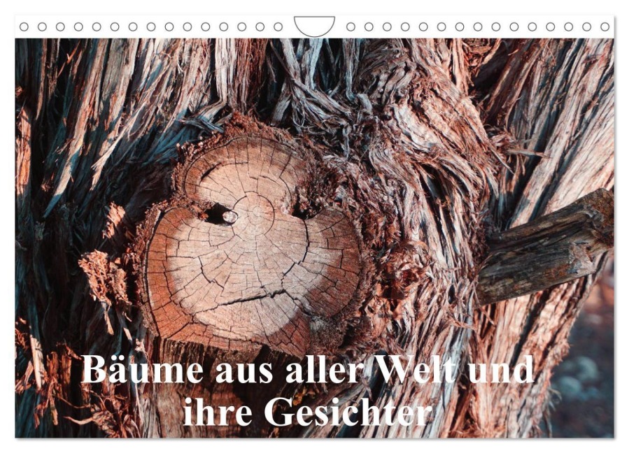 Bäume aus aller Welt und ihre Gesichter (Wandkalender 2025 DIN A4 quer), CALVENDO Monatskalender - Andreas Struve