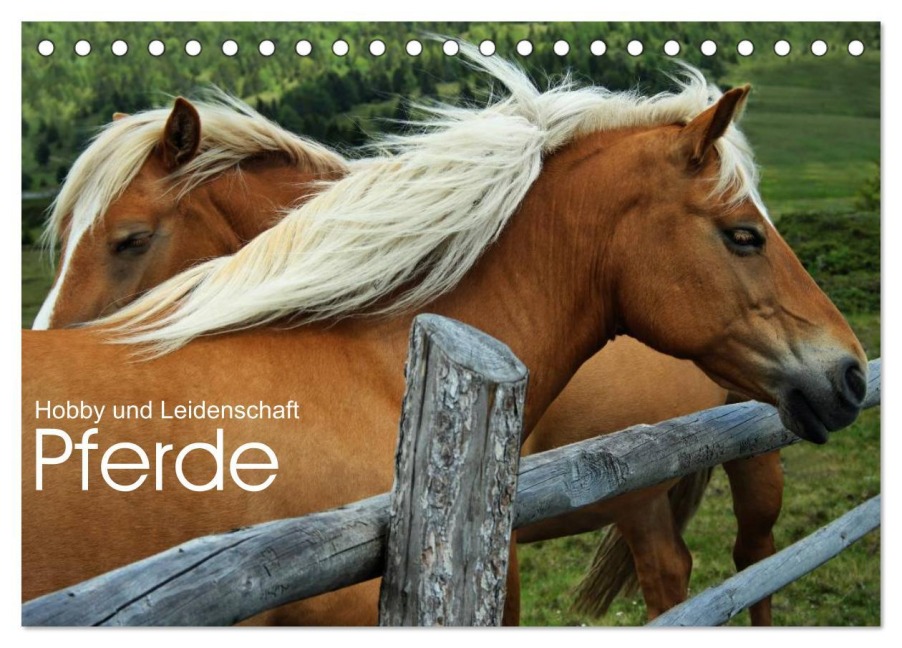 Pferde - Hobby und Leidenschaft (Tischkalender 2026 DIN A5 quer), CALVENDO Monatskalender - Georg Niederkofler