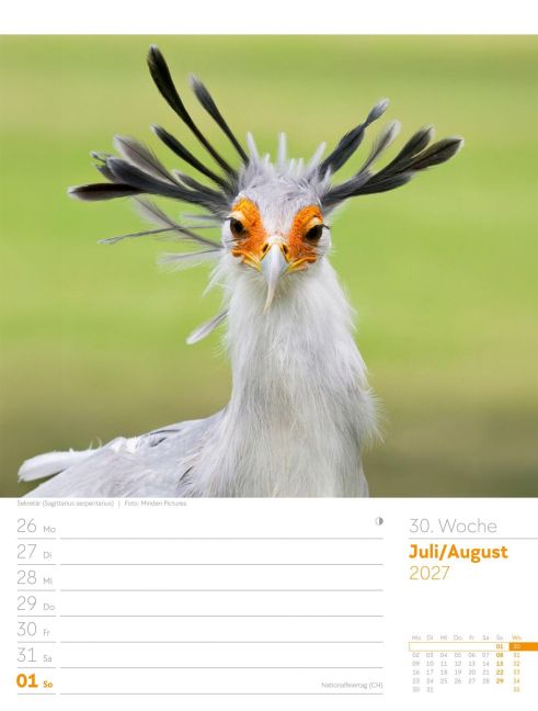 InsideView 34