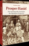Cover-Bild zum Titel 'Prosper-Haniel' von 'Friedhelm Wessel'