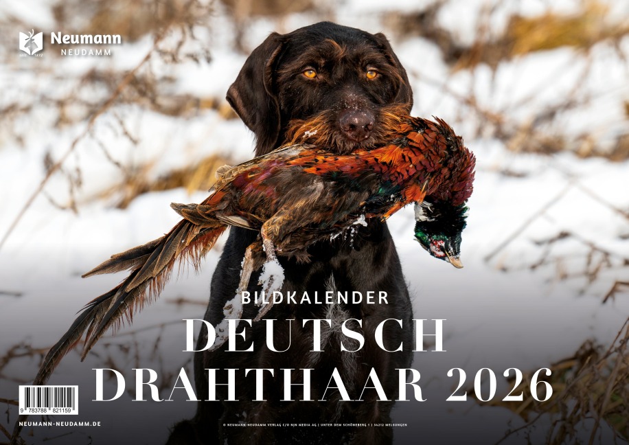 Deutsch Drahthaar 2026 - 