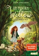 Cover-Bild zum Titel 'Ein Mädchen namens Willow 3: Flügelrauschen' von 'Sabine Bohlmann'