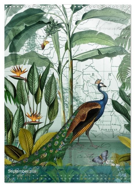 InsideView 14
