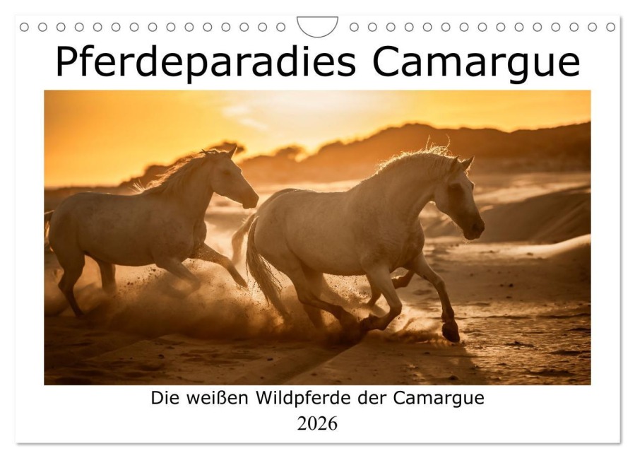 Pferdeparadies Camargue (Wandkalender 2026 DIN A4 quer), CALVENDO Monatskalender - Nicola Kassat