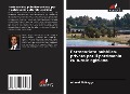 Cover-Bild zum Titel 'Partenariato pubblico-privato per il patrimonio culturale egiziano' von 'Ahmed El-Naggar'