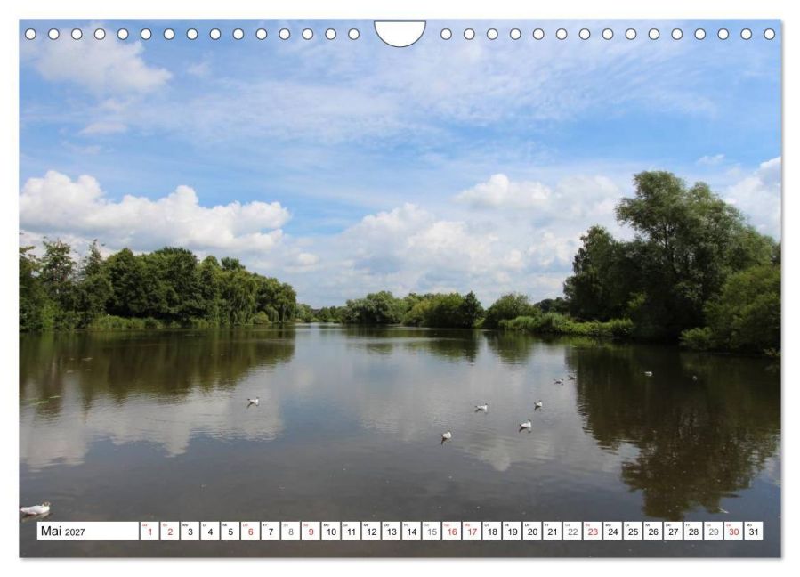InsideView 10